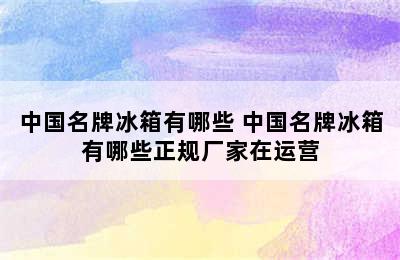 中国名牌冰箱有哪些 中国名牌冰箱有哪些正规厂家在运营